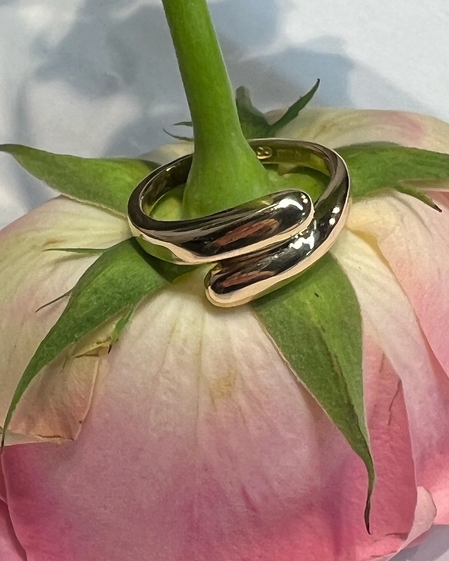 Ring 2023